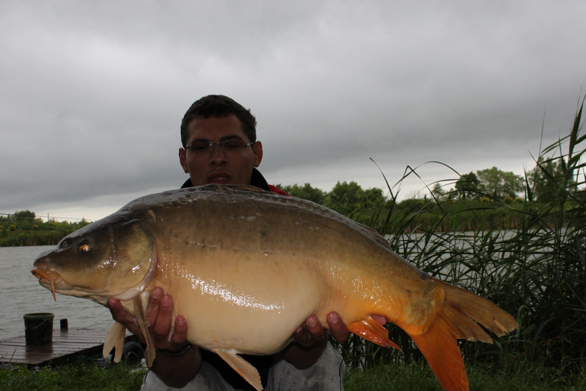 Mv2 Nagykallo - IMG_0688.JPG